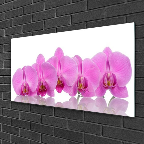 Tablou pe sticla Flori roz Floral