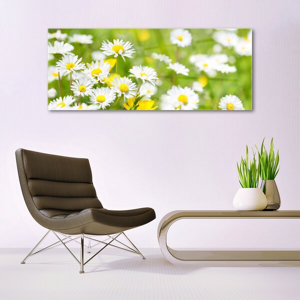 Tablou pe sticla Daisy Floral Galben Alb