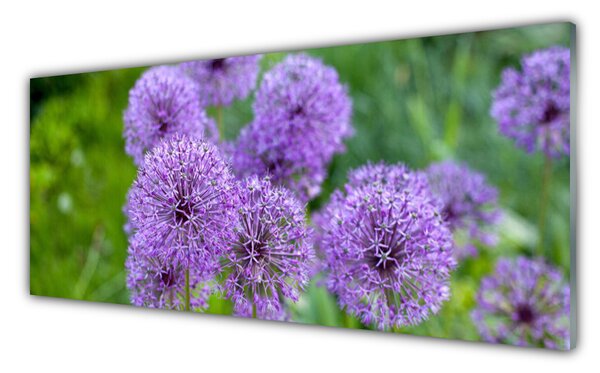Tablou pe sticla Flori roz Floral