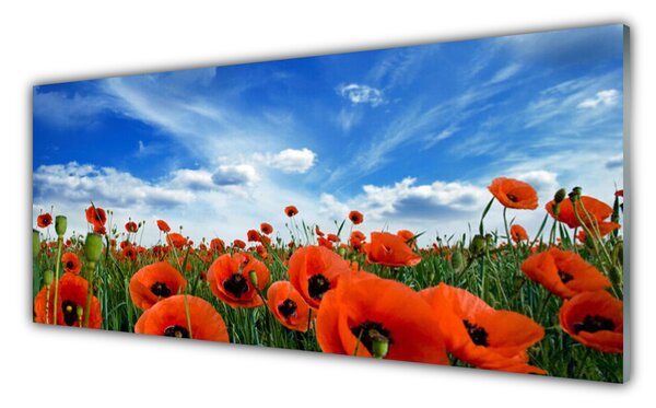 Panou sticla bucatarie Meadow Maci Floral Verde Roșu