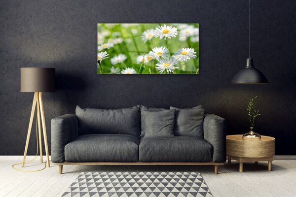 Tablou pe sticla Daisy Floral Galben Alb