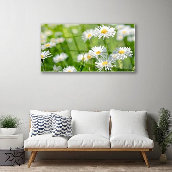 Tablou pe sticla Daisy Floral Galben Alb