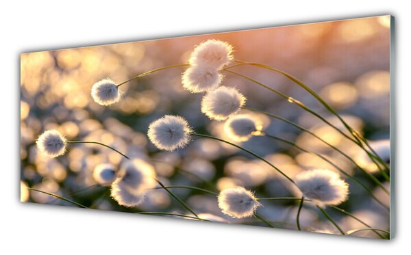 Tablou pe sticla Flori Floral Gray