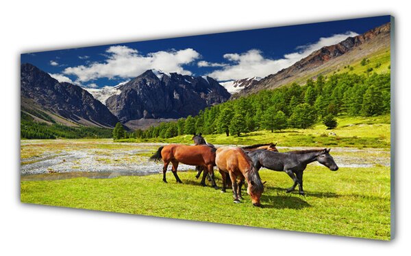 Panou sticla bucatarie Munte Copaci Cai Animale Gri Verde Maro Negru
