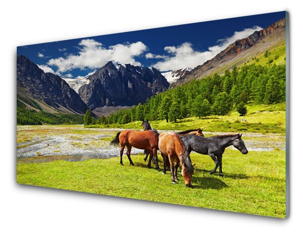 Panou sticla bucatarie Munte Copaci Cai Animale Gri Verde Maro Negru