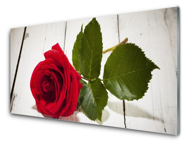 Panou sticla bucatarie Rose Floral Red