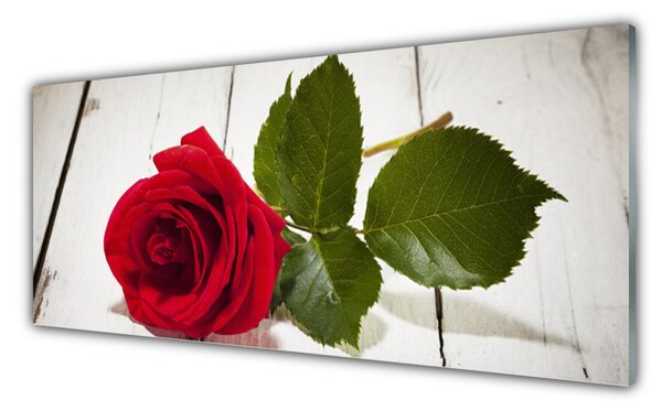 Panou sticla bucatarie Rose Floral Red