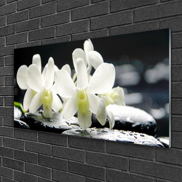 Tablou pe sticla Pietre florale flori alb negru
