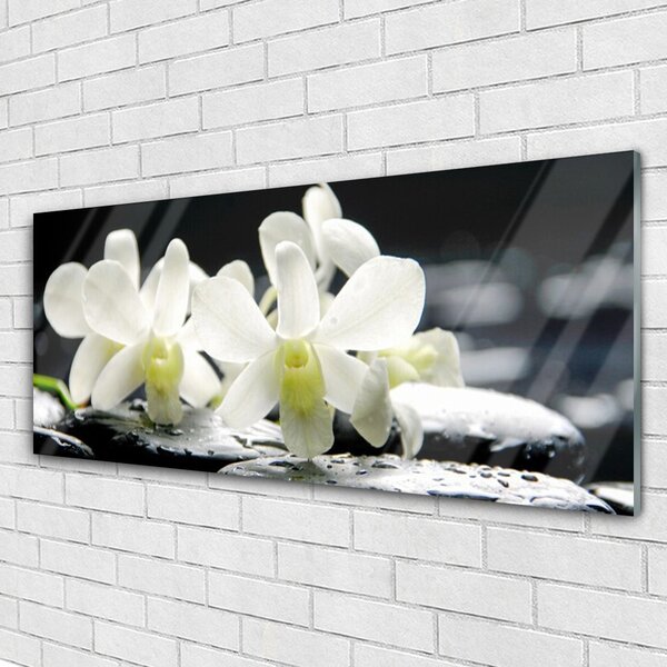 Tablou pe sticla Pietre florale flori alb negru