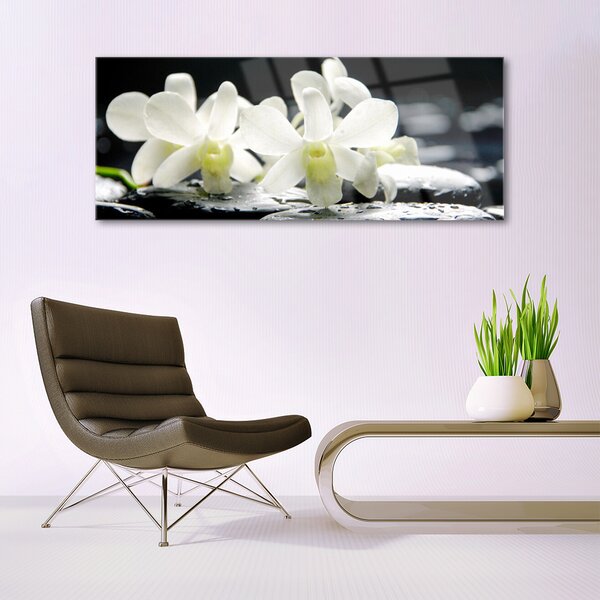Tablou pe sticla Pietre florale flori alb negru