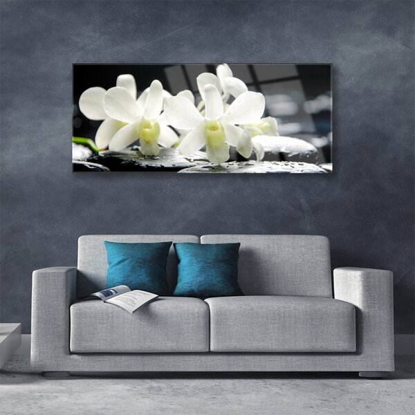 Tablou pe sticla Pietre florale flori alb negru
