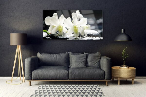 Tablou pe sticla Pietre florale flori alb negru