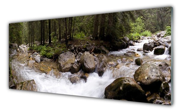 Tablouri acrilice Forest Brook Stones Natura Brun Verde Alb Gri