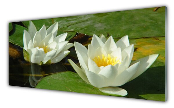 Panou sticla bucatarie Flori Floral Galben Alb