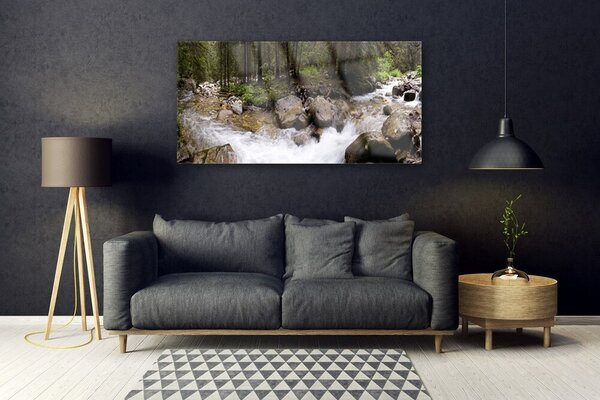 Tablouri acrilice Forest Brook Stones Natura Brun Verde Alb Gri