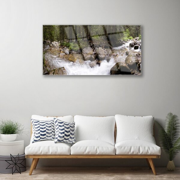 Tablouri acrilice Forest Brook Stones Natura Brun Verde Alb Gri