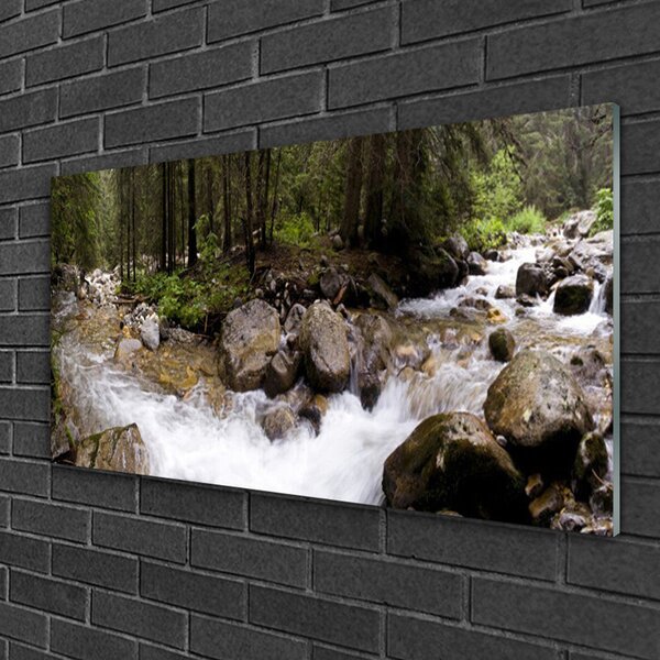 Tablouri acrilice Forest Brook Stones Natura Brun Verde Alb Gri