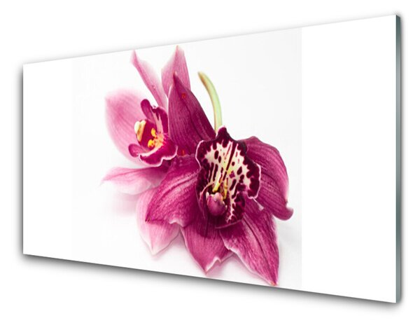 Panou sticla bucatarie Flori Floral Roșu