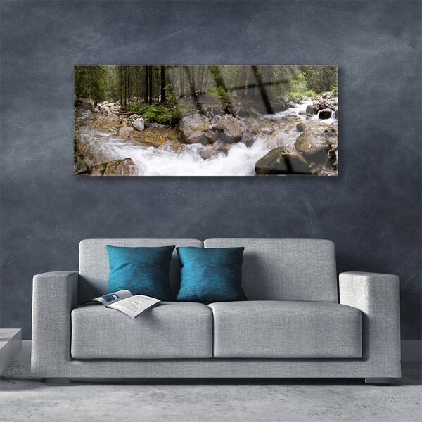 Tablouri acrilice Forest Brook Stones Natura Brun Verde Alb Gri