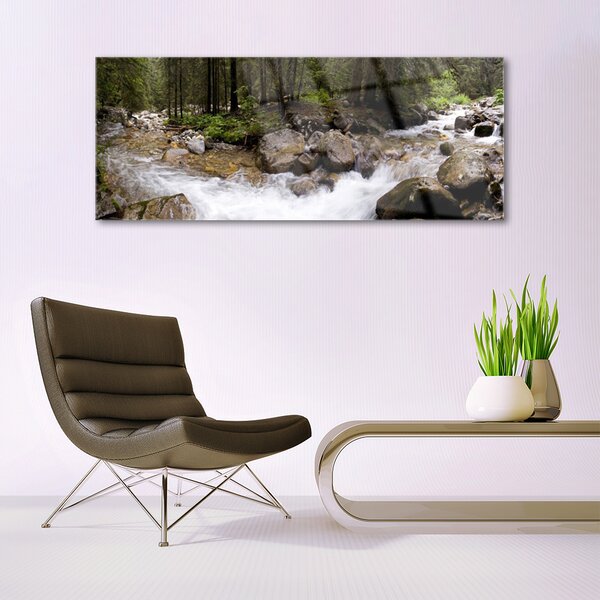 Tablouri acrilice Forest Brook Stones Natura Brun Verde Alb Gri