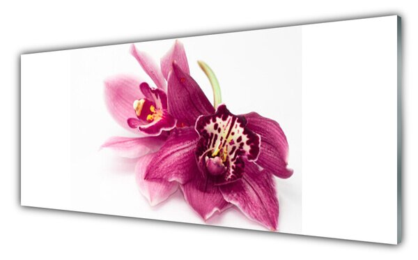 Panou sticla bucatarie Flori Floral Roșu