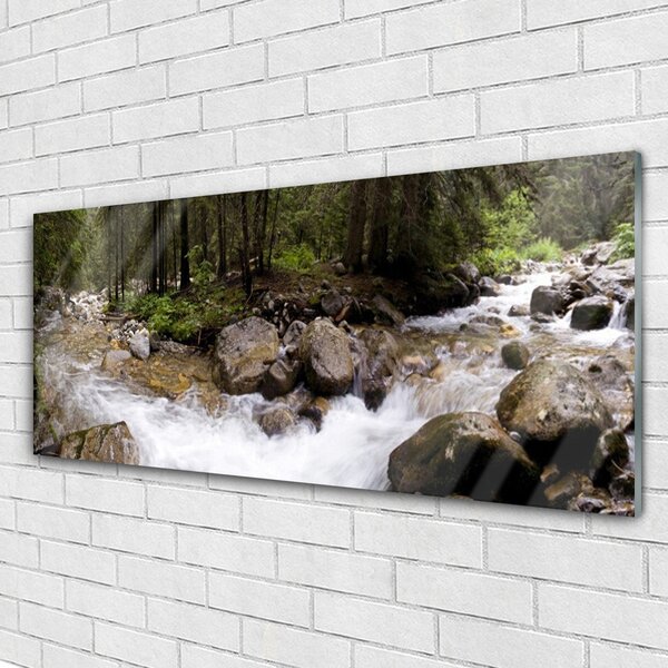 Tablouri acrilice Forest Brook Stones Natura Brun Verde Alb Gri