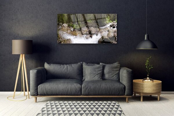 Tablouri acrilice Forest Brook Stones Natura Brun Verde Alb Gri