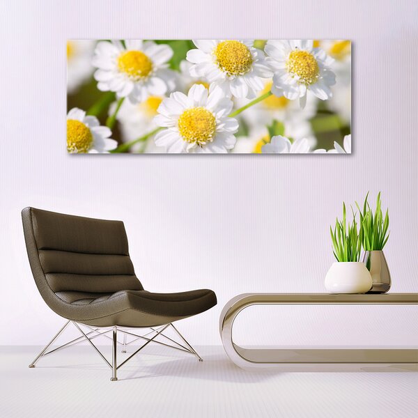 Tablou pe sticla Daisy Floral Galben Alb