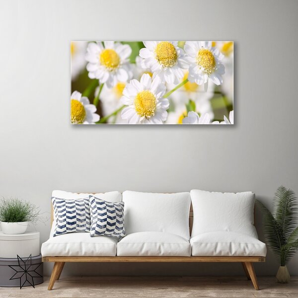 Tablou pe sticla Daisy Floral Galben Alb