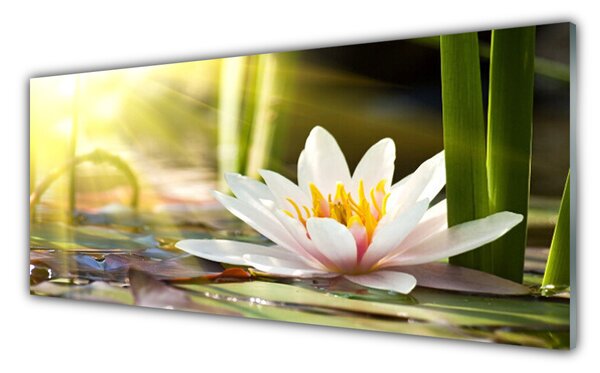 Tablou pe sticla Florale flori albe