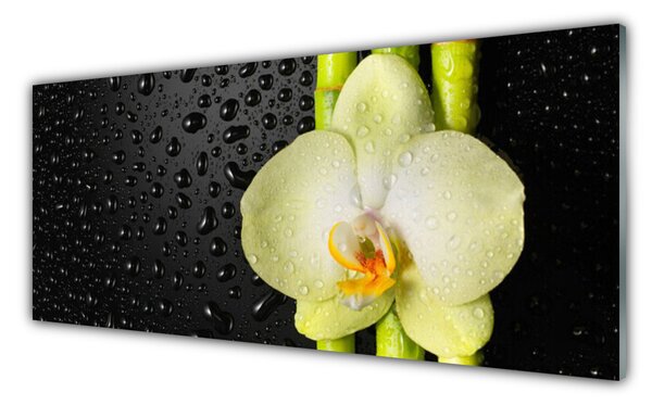Panou sticla bucatarie Bamboo Tub flori Floral Verde Galben