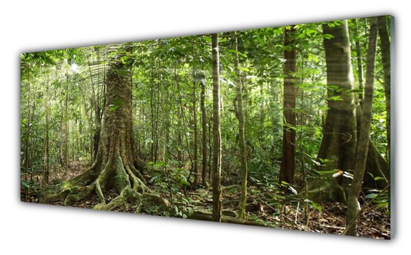 Tablou pe sticla Natural Pădurea Verde Maro