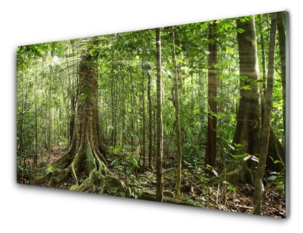 Tablou pe sticla Natural Pădurea Verde Maro