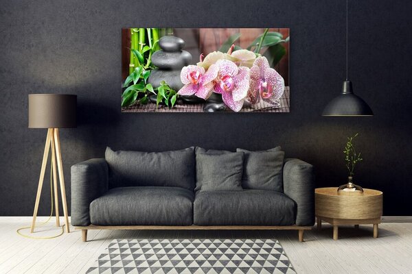 Tablou pe sticla Bamboo pietre Flori Floral Verde Gri Roz