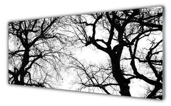 Tablouri acrilice Copaci Natura negru