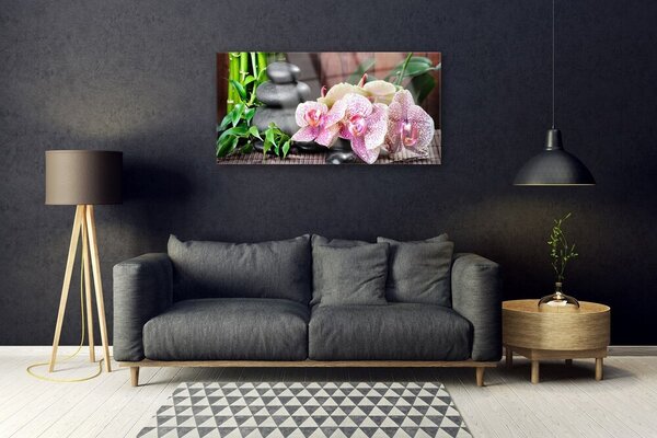 Tablou pe sticla Bamboo pietre Flori Floral Verde Gri Roz