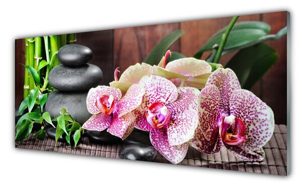 Panou sticla bucatarie Bamboo pietre Flori Floral Verde Gri Roz
