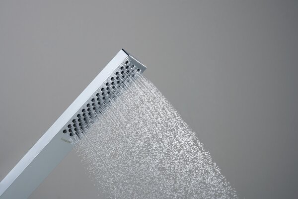 Hansgrohe Pulsify E duș de mână crom 24320000