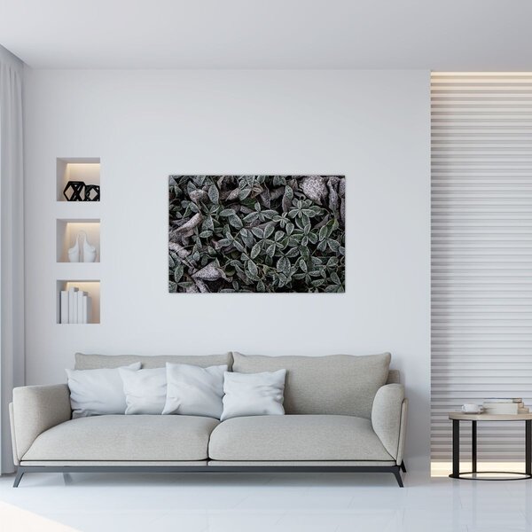 Tablou - Plante înghețate (90x60 cm)
