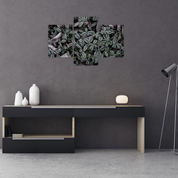 Tablou - Plante înghețate (90x60 cm)
