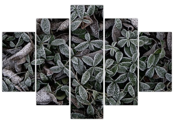 Tablou - Plante înghețate (150x105 cm)