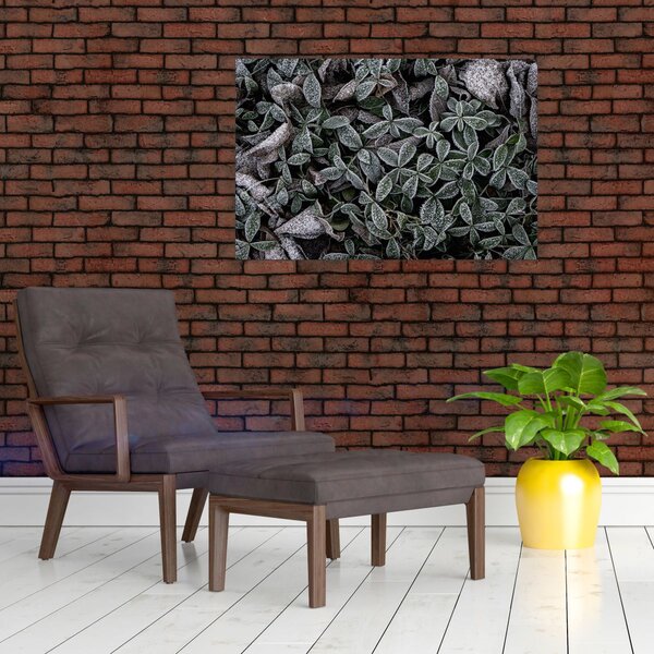 Tablou - Plante înghețate (90x60 cm)