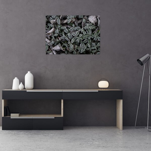 Tablou - Plante înghețate (70x50 cm)