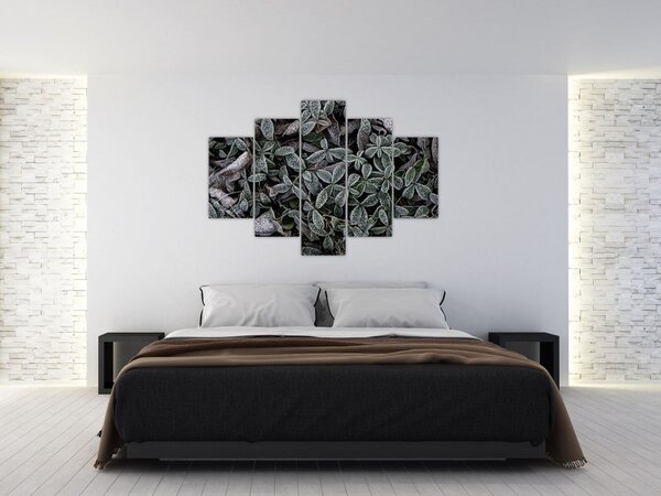 Tablou - Plante înghețate (150x105 cm)
