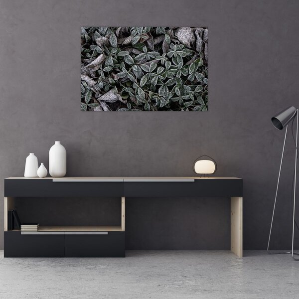 Tablou - Plante înghețate (90x60 cm)