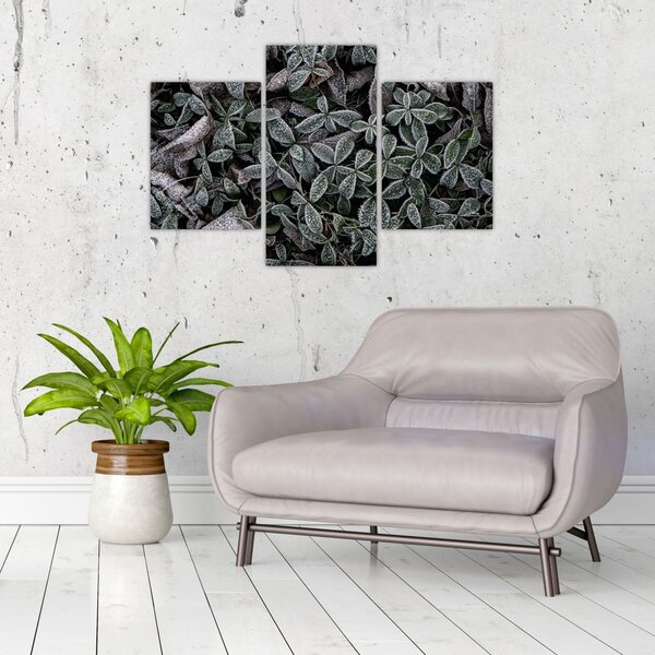 Tablou - Plante înghețate (90x60 cm)