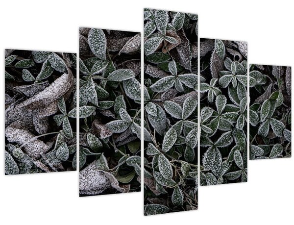 Tablou - Plante înghețate (150x105 cm)