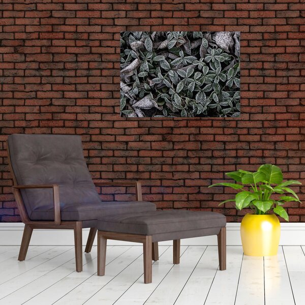 Tablou - Plante înghețate (70x50 cm)
