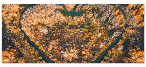 Tablou - Râu în formă de inimă (120x50 cm)