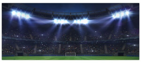 Tablou - Stadion de fotbal (120x50 cm)